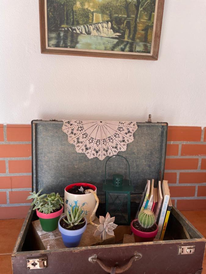Del Rey Guest House Томар Екстер'єр фото
